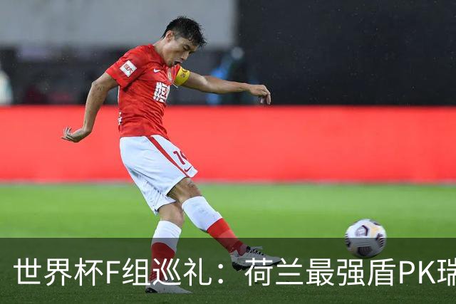 世界杯F组巡礼：荷兰最强盾PK瑞典犀利刀 日本短板明显